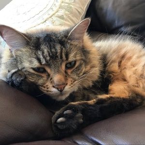 Meet your Posher, Laura